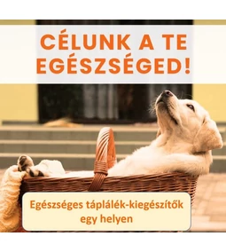 Igazság a táplálék-kiegészítőkről: Hasznos segítség vagy rejtett veszély?