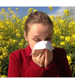 Hogyan befolyásolja az emésztőrendszer egészsége az allergiás reakciókat?