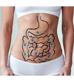 Mennyi időre van szüksége a gyomornak ahhoz, hogy teljesen megeméssze az ételt?