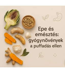 Epe és emésztés: gyógynövények a puffadás ellen