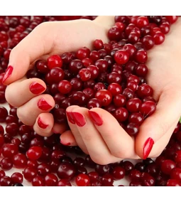 Immunerősítés D-mannóz támogatásával – húgyúti fertőzések ellen