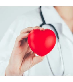 Shilajit: a szív- és érrendszer támogatója!