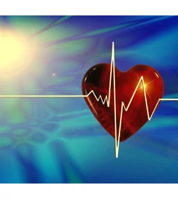 SZÍV- ÉS ÉRRENDSZER ÉS A GYULLADÁSOK KAPCSOLATA