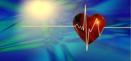 Szív- és érrendszer egészsége