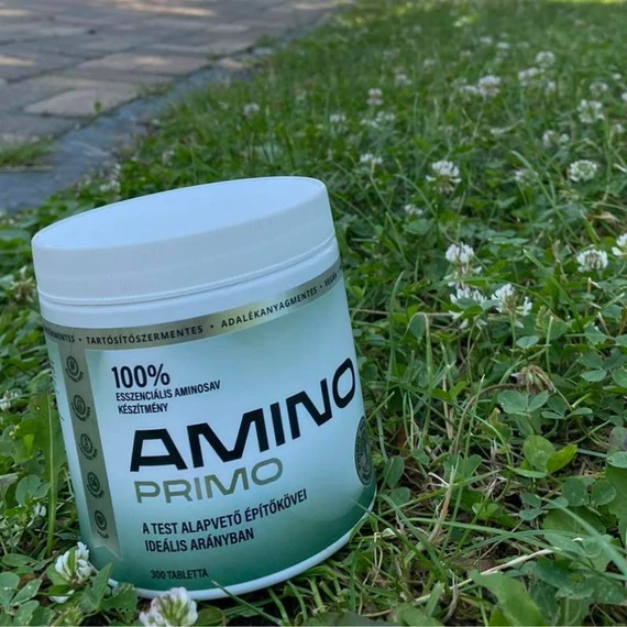 amino_primo_termeszet maradjegyensulyban