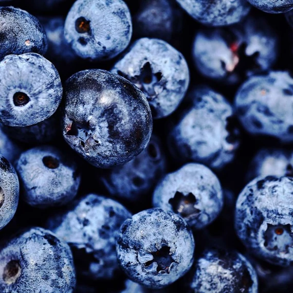 fekete afonya bogyos gyumolcs maradjegyensulyban