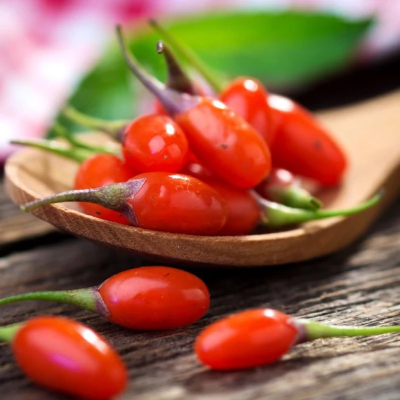 erett goji berry maradjegyensulyban