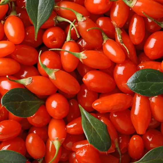 goji bogyo maradjegyensulyban