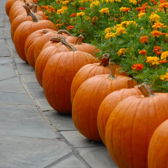 sutotok maradjegyensulyban