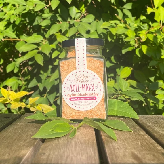 koll_maxx maradjegyensulyban