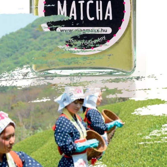 matcha ultetveny maradjegyensulyban