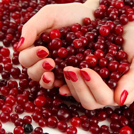 tozegafonya maradjegyensulyban