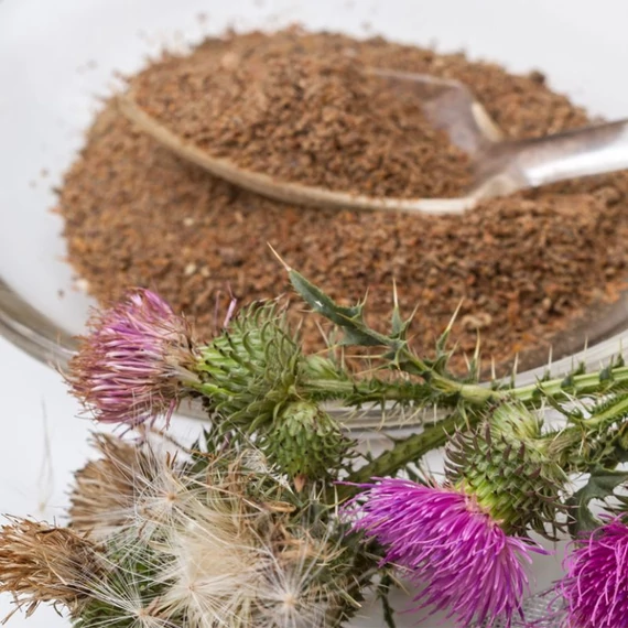 Mariatovis maradjegyensulyban