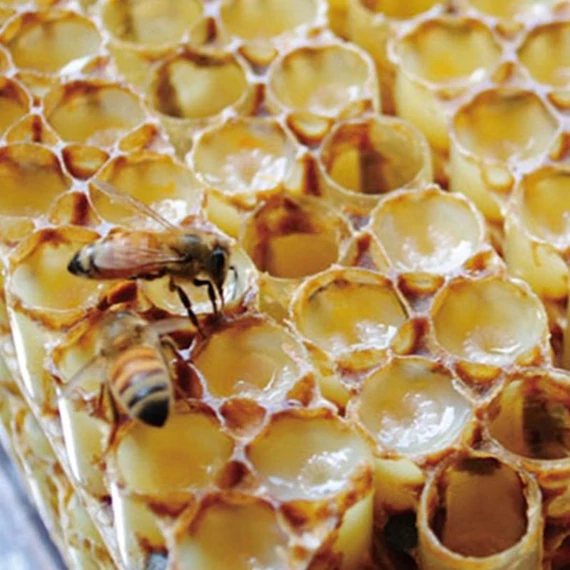 mehpempo meh maradjegyensulyban