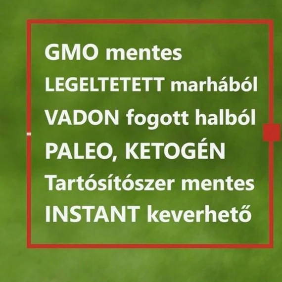 kollagen_mentes maradjegyensulyban