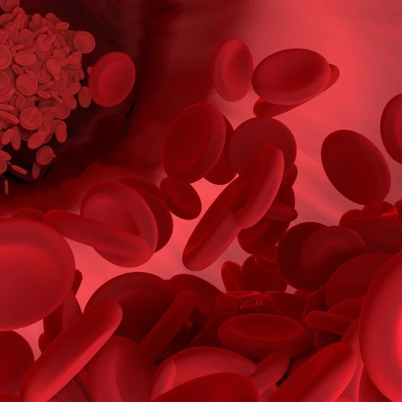 venoptim vorosversejt maradjegyensulyban