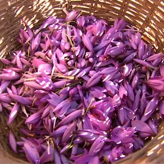 spanyol_safrany_kosarban maradjegyensulyban