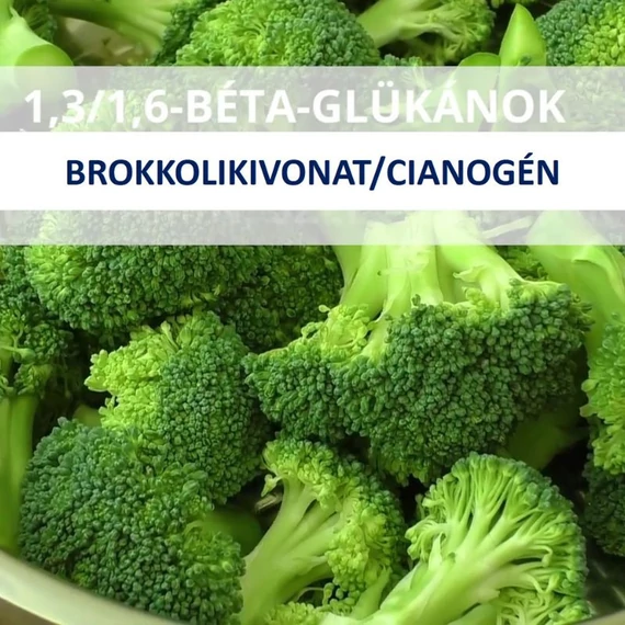 xtend_beta_glukanok maradjegyensulyban