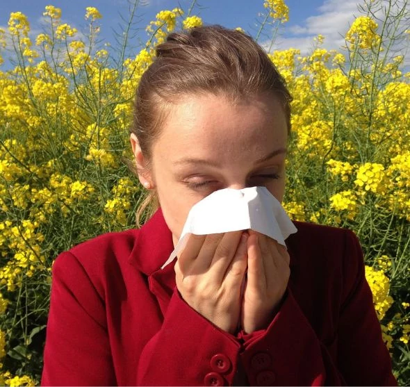 Hogyan befolyásolja az emésztőrendszer egészsége az allergiás reakciókat?