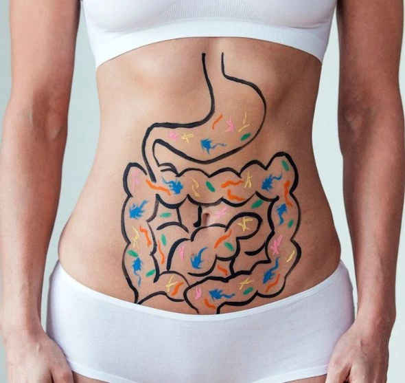 Az enzimek szerepe és fontossága