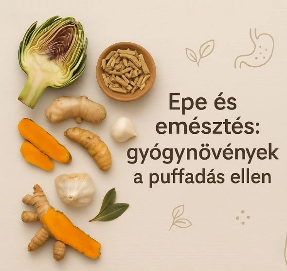 Epe és emésztés: gyógynövények a puffadás ellen
