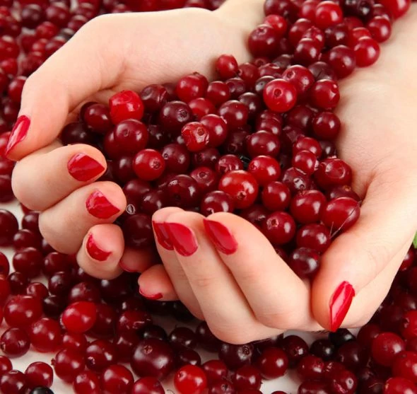 Immunerősítés D-mannóz támogatásával – húgyúti fertőzések ellen