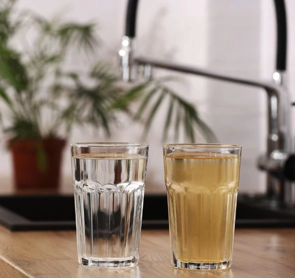 E. coli baktérium okozta fertőzések