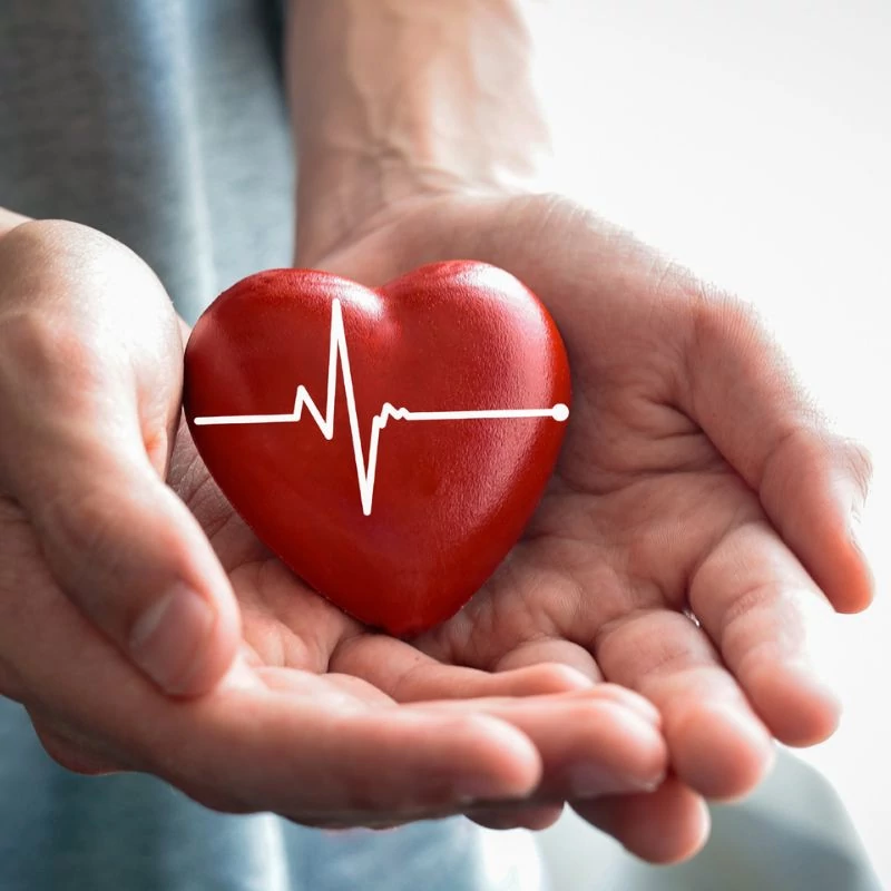 cardiozin vernyomas gyogytea komplex 2 maradjegyensulyban