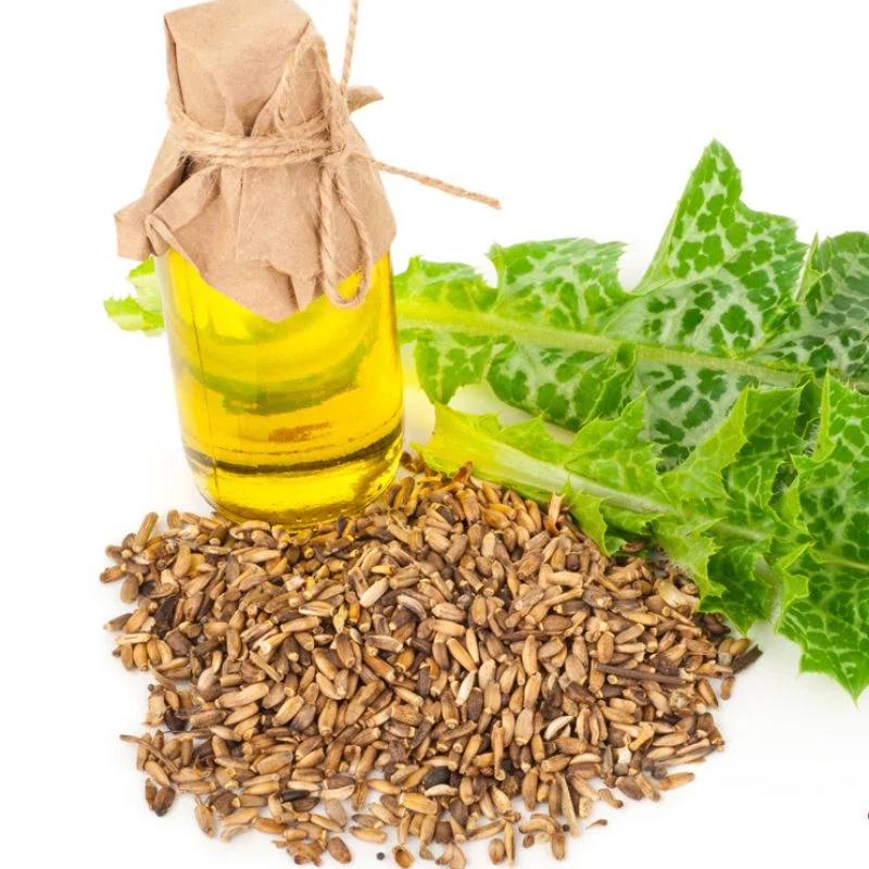 detox_orlemeny maradjegyensulyban