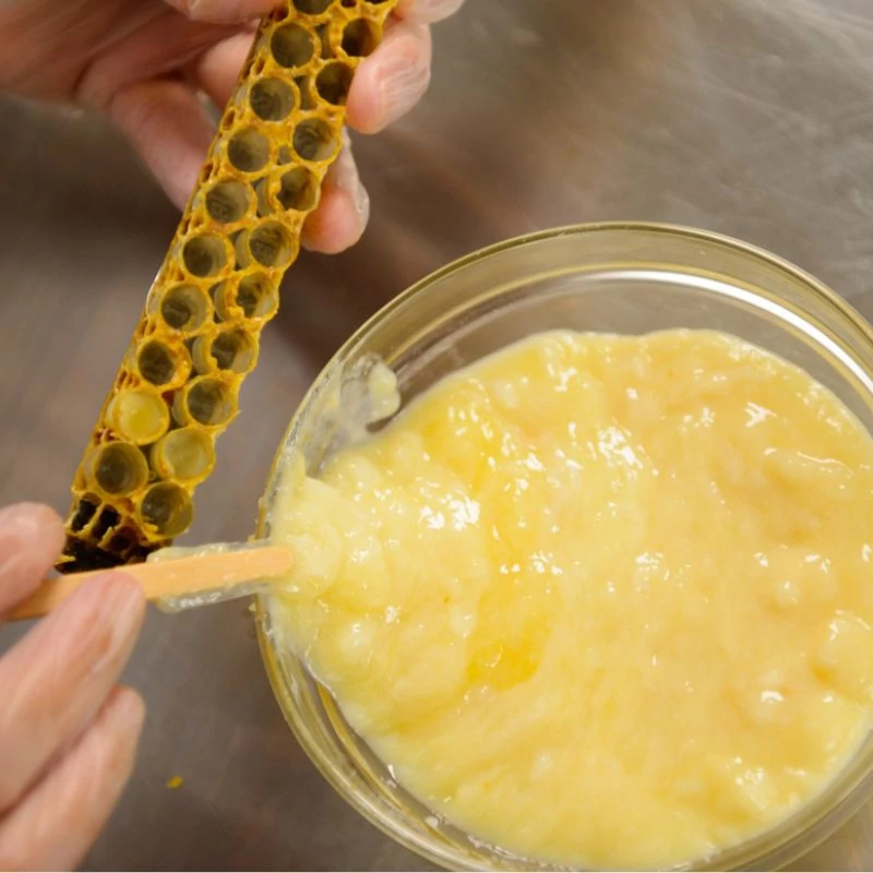 mehpempo femnox maradjegyensulyban