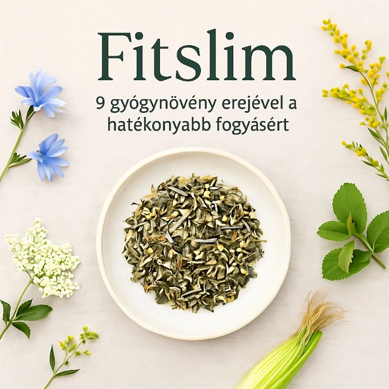 fitslim gyogytea komplex 9 maradjegyensulyban