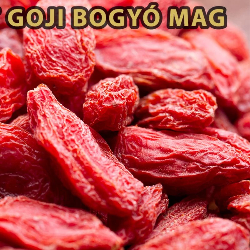 goji bogyo mag aszalt maradjegyensulyban