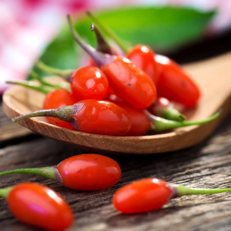 erett goji berry maradjegyensulyban