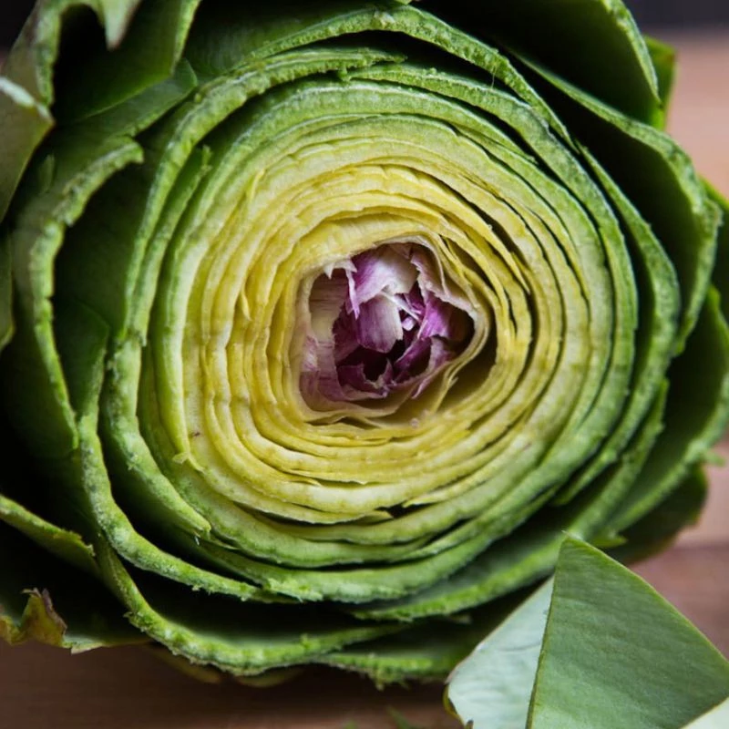 hepadex_articsoka maradjegyensulyban