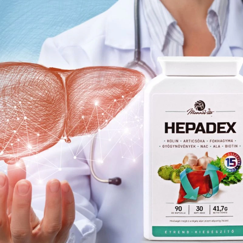 hepaded_maj_regeneralo maradjegyensulyban