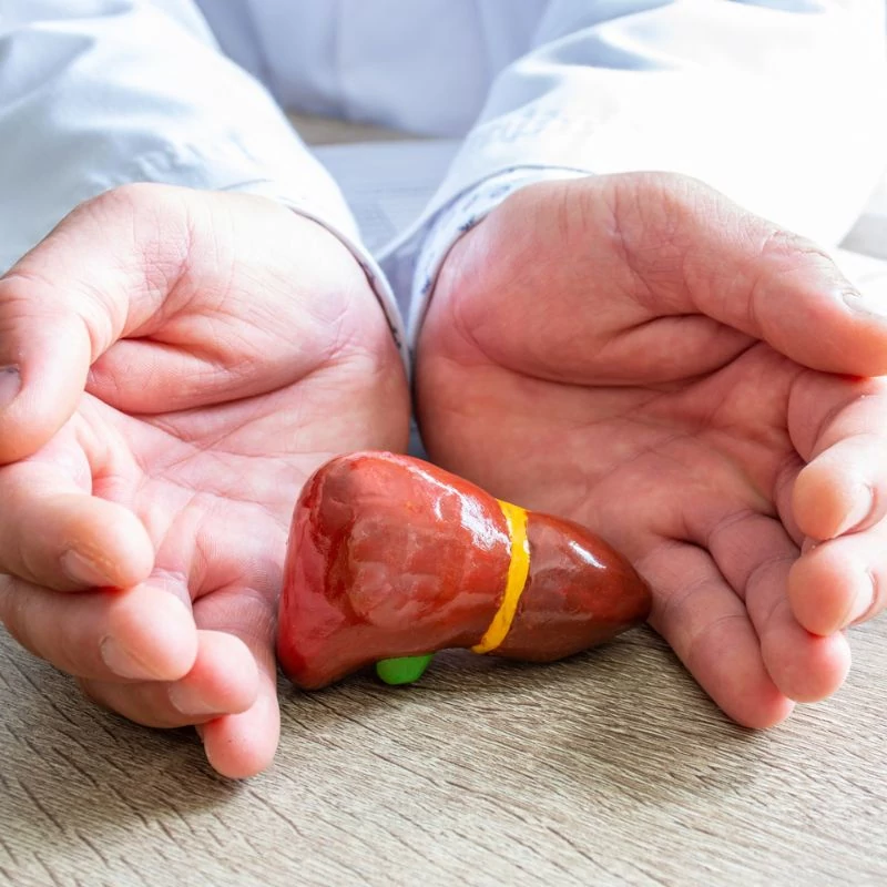 hepavital majvedo egeszsegtea komplex maradjegyensulyban