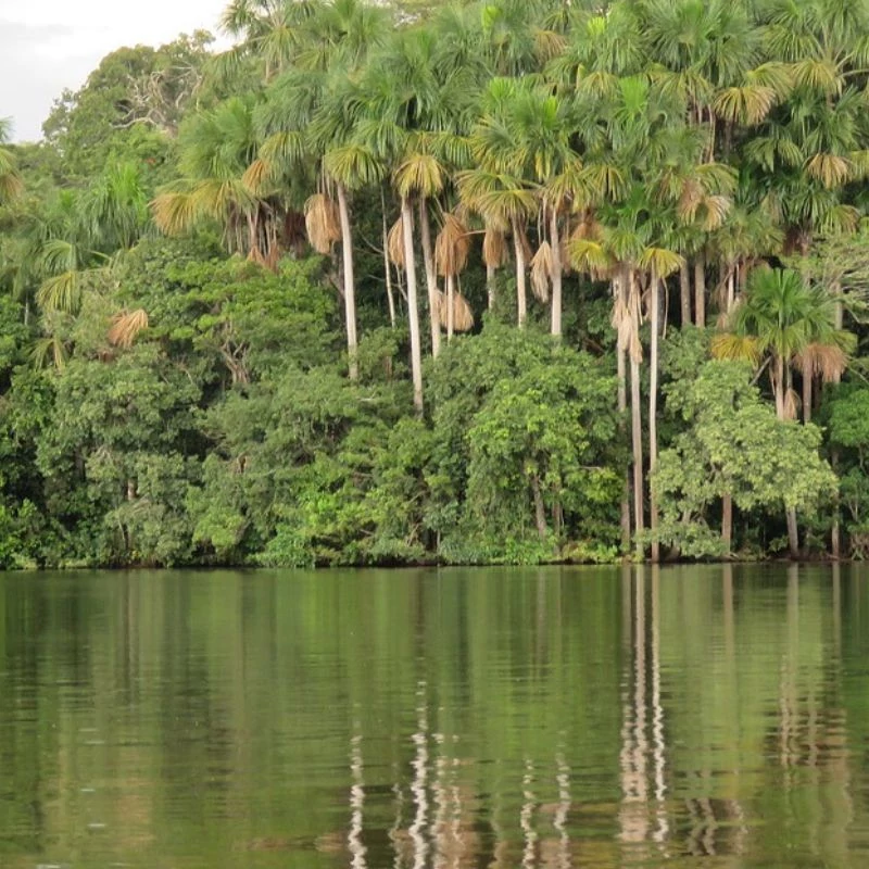 perui esoerdo maradjegyensulyban