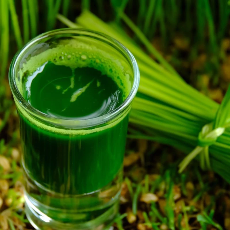 buzafule italpor 3 maradjegyensulyban