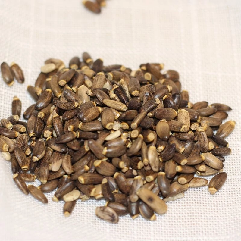 Mariatovis_mag maradjegyensulyban