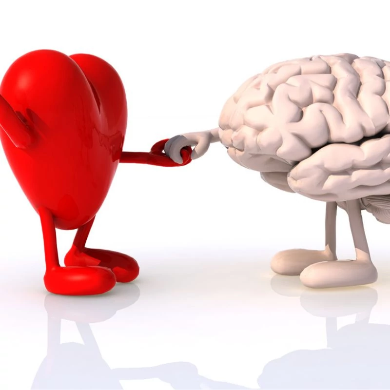 mega_krill_sziv_agy maradjegyensulyban