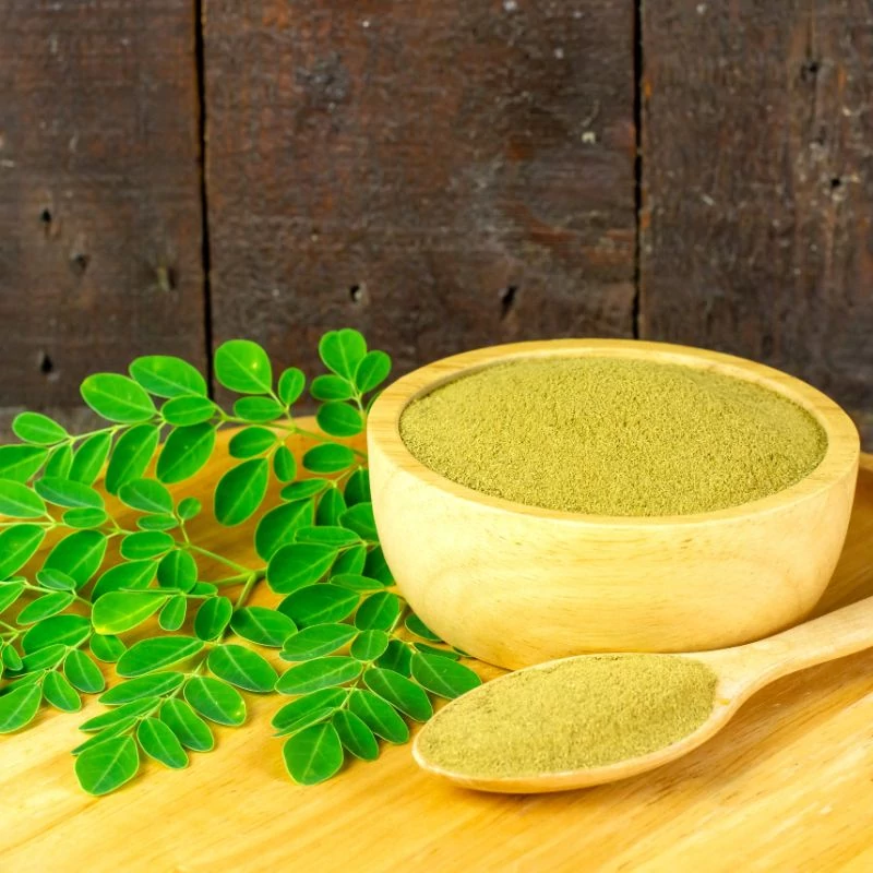 moringa maradjegyensulyban