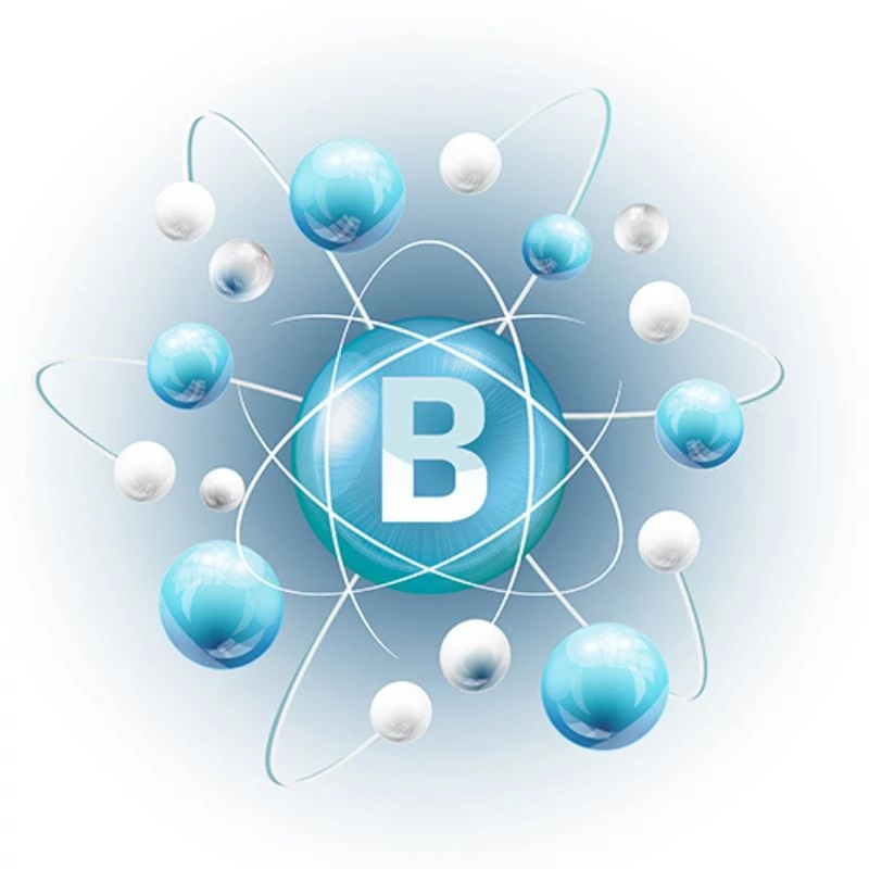 b komplex bioaktiv molekula maradjegyensulyban