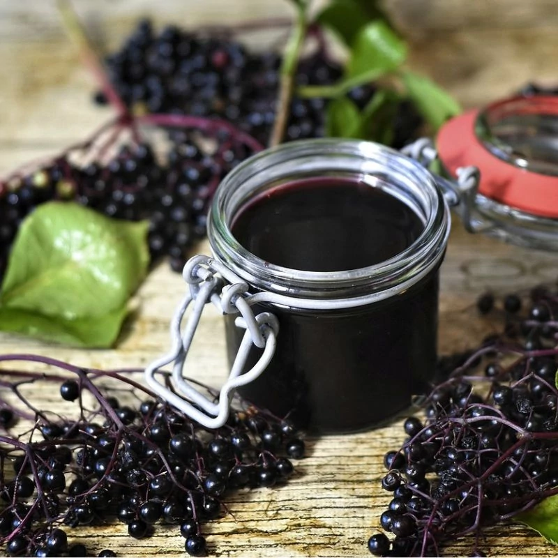 fekete bodza elder maradjegyensulyban