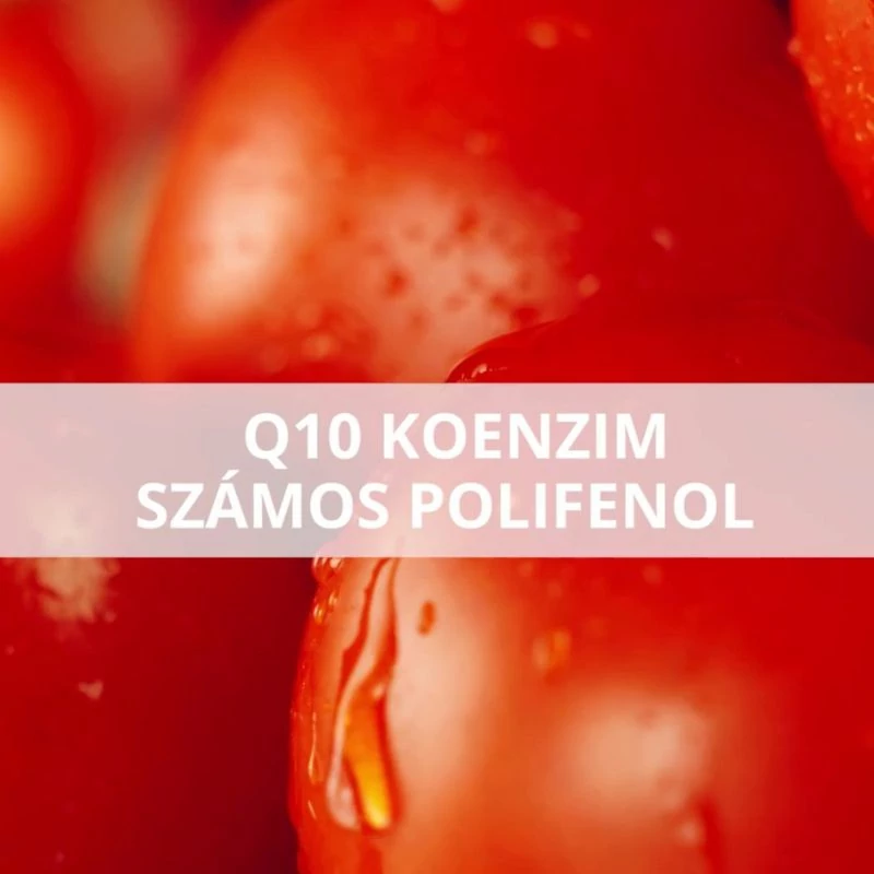 xtend_q10_polifenol maradjegyensulyban